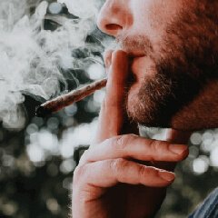 Adult smoking, shown as a wellness-risk context image